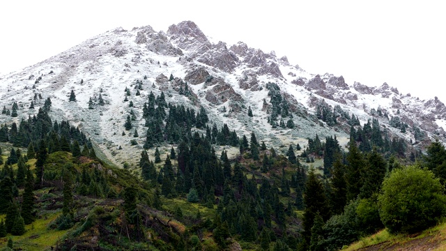 刚刚下雪的雪山森林视频素材