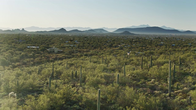 住宅坐落在Tucson附近的仙人掌，AZ - Aerial视频素材