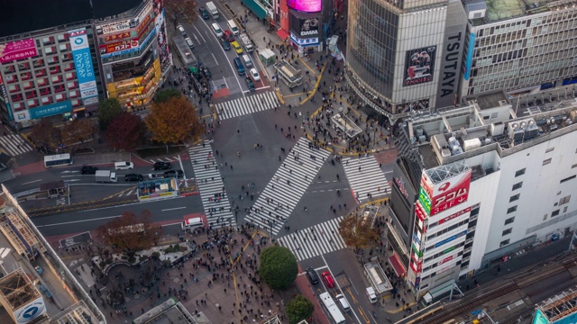 日本东京黄昏时的涩谷十字路口视频素材