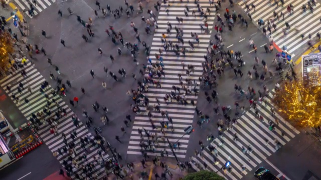 日本东京黄昏时的涩谷十字路口视频素材