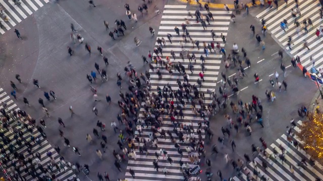 日本东京黄昏时的涩谷十字路口视频素材