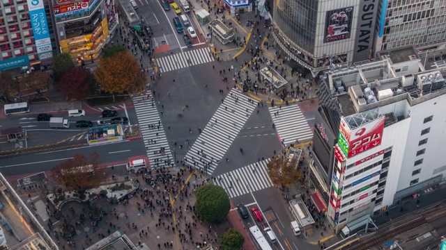 日本东京黄昏时的涩谷十字路口视频素材