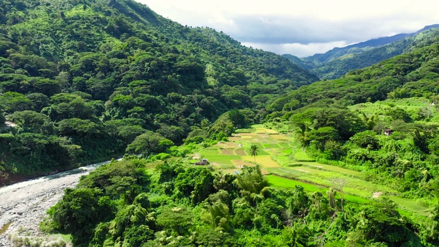 山地景观和稻田。群山和美丽的山谷里有梯田视频素材