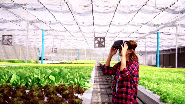 亚洲女农民使用VR眼镜探索水平农场种植的蔬菜。未来的蔬菜农场，没有转基因的新鲜清洁产品。视频下载