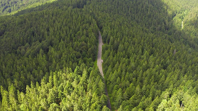 鸟瞰图飞过两车道森林道路与汽车移动绿树的树林生长的两侧。汽车在森林道路上行驶。空中:汽车穿过松林。德国黑森林天线视频素材