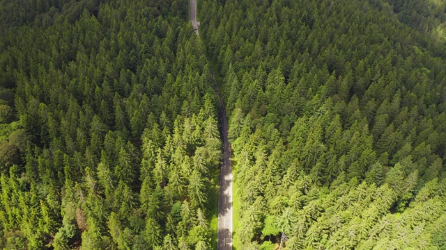 鸟瞰图飞过两车道森林道路与汽车移动绿树的树林生长的两侧。汽车在森林道路上行驶。空中:汽车穿过松林。德国黑森林天线视频素材