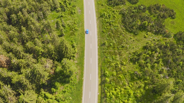 鸟瞰图飞过两车道森林道路与汽车移动绿树的树林生长的两侧。汽车在森林道路上行驶。空中:汽车穿过松林。德国黑森林天线视频素材