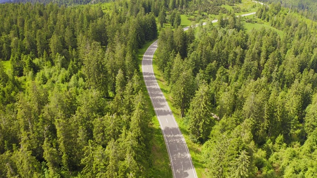 鸟瞰图飞过两车道森林道路与汽车移动绿树的树林生长的两侧。汽车在森林道路上行驶。空中:汽车穿过松林。德国黑森林天线视频素材