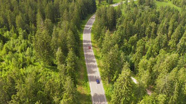 鸟瞰图飞过两车道森林道路与汽车移动绿树的树林生长的两侧。汽车在森林道路上行驶。空中:汽车穿过松林。德国黑森林天线视频素材