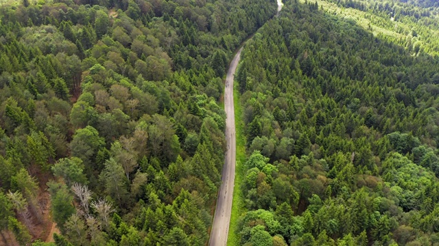 鸟瞰图飞过两车道森林道路与汽车移动绿树的树林生长的两侧。汽车在森林道路上行驶。空中:汽车穿过松林。德国黑森林天线视频素材