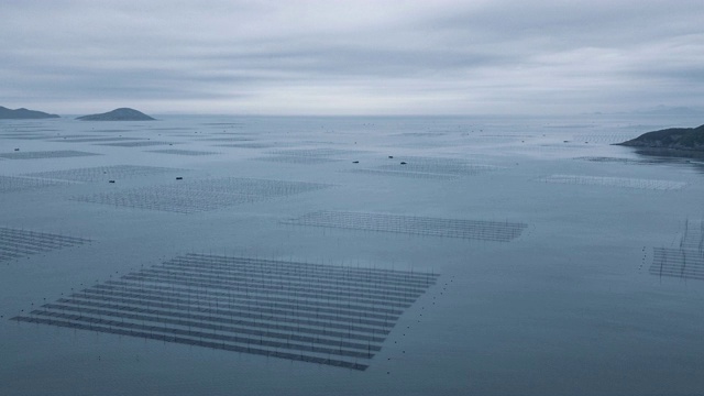 延时拍摄:中国福建霞浦的海藻养殖。视频素材