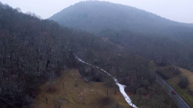 空中拍摄的汽车在光秃秃的树木中对着天空，无人机在冬天飞过森林-图林根，德国视频素材