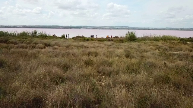 在晴朗的日子里，航拍游客在湖边的天空，无人机在著名的粉红色湖泊附近的植物上空飞行——西班牙托雷维耶哈视频素材