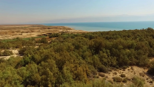 在阳光明媚的日子里，无人机在以色列死海的自然地标上空向前飞行，拍下了盐湖边的植物视频素材