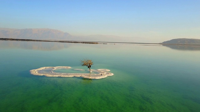 航拍盐湖附近建筑物对天空的枯树，无人机在阳光明媚的日子里飞过死海附近的山脉视频素材