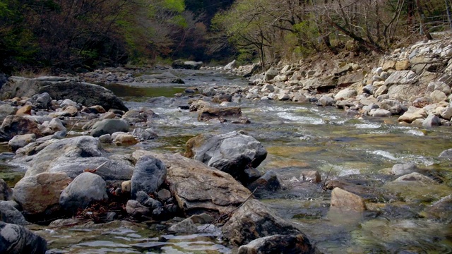 野田山山谷/江原道，韩国视频素材