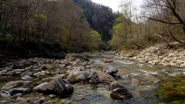 野田山山谷/江原道，韩国视频素材