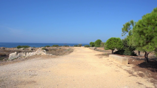 在阳光明媚的一天，帕福斯，塞浦路斯，在海边的植物中拍摄的小路视频素材