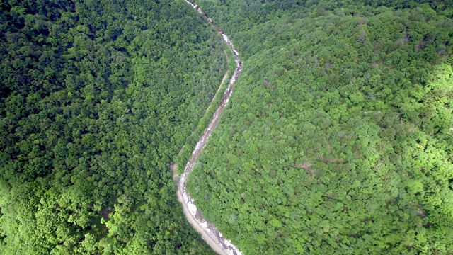 野田山/江原道，韩国视频素材