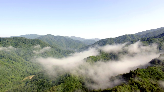 有雾的荻田山/江原道，韩国视频素材