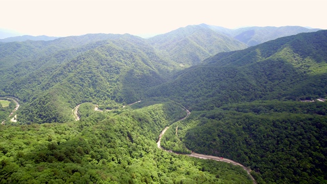 野田山/江原道，韩国视频素材