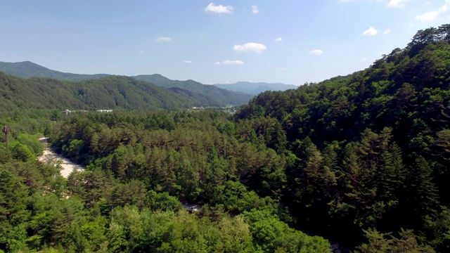 野田山/江原道，韩国视频素材