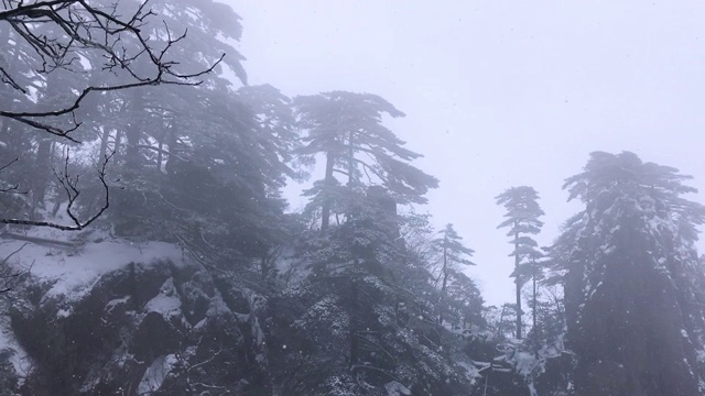 黄山罕见降雪，是联合国教科文组织世界遗产，冬季大雪景区视频下载