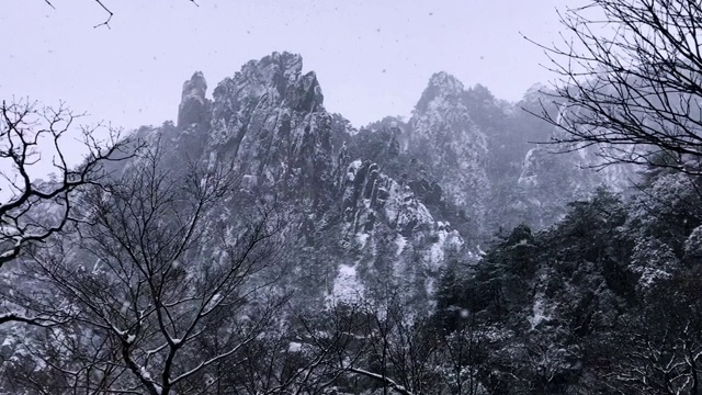 黄山罕见降雪，是联合国教科文组织世界遗产，冬季大雪景区视频下载