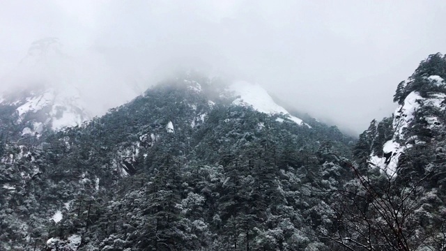 黄山罕见降雪，是联合国教科文组织世界遗产，冬季大雪景区视频下载