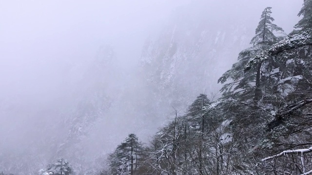 黄山罕见降雪，是联合国教科文组织世界遗产，冬季大雪景区视频下载