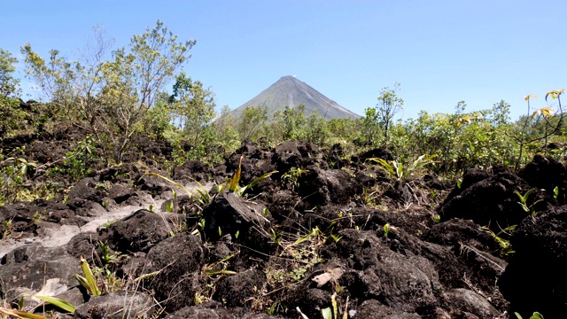 哥斯达黎加的阿雷纳尔火山国家公园视频素材