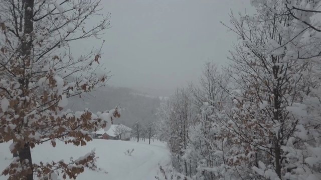 白雪皑皑的奶牛牧场视频素材