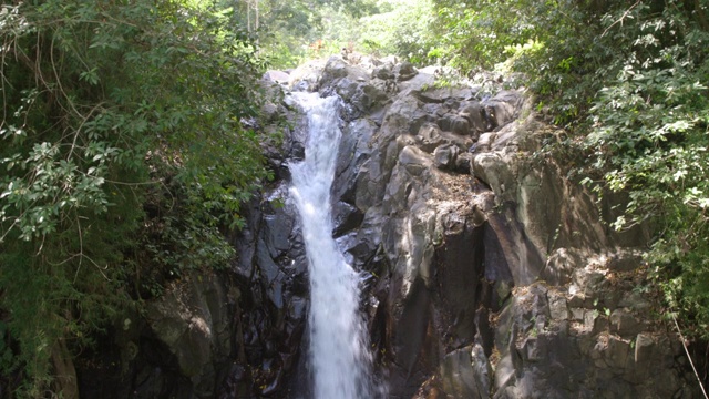 跳入水湾视频素材