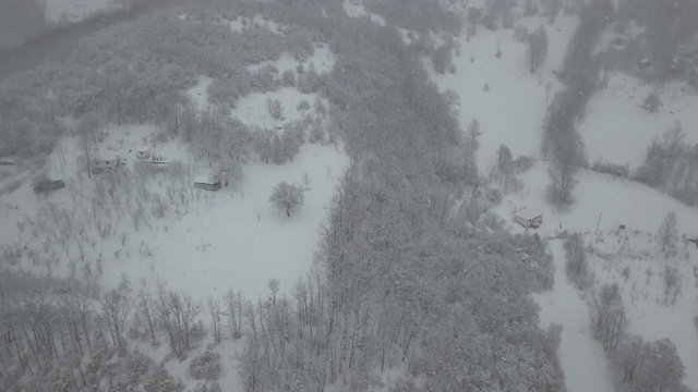 高山森林-暴风雪视频素材