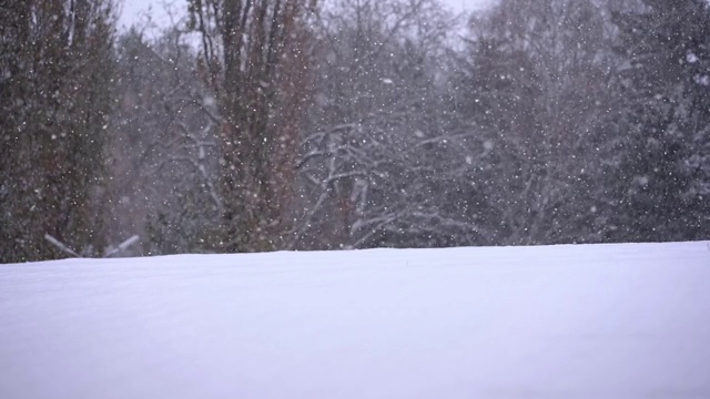 它正在慢慢地飘落雪花视频素材