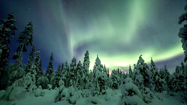 拉普兰白雪覆盖的森林上空的北极光视频素材