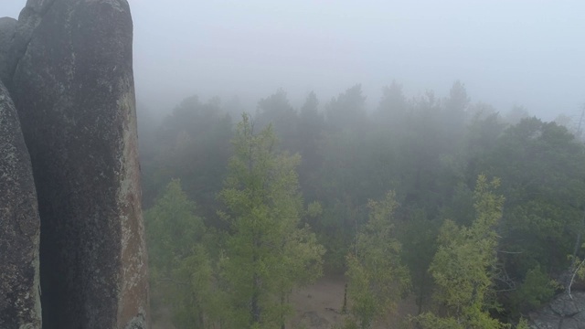 雾中的岩石与针叶林针叶林冻结，萨彦山山脉视频素材