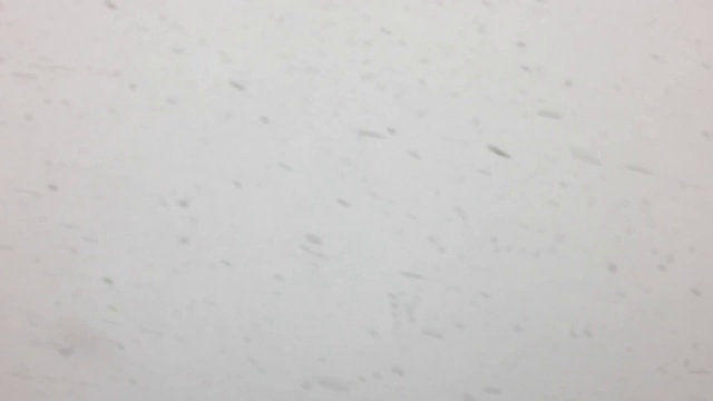 4月暴风雪。雪花只视频素材