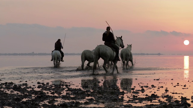 夕阳西下时，牧马人骑着马在海滩上散步视频素材