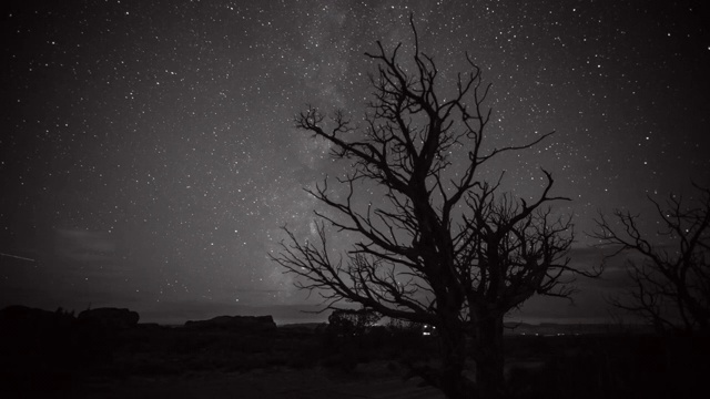 在夜空中对着星星的光秃秃的树的平移延时拍摄-拱门国家公园，犹他州视频素材