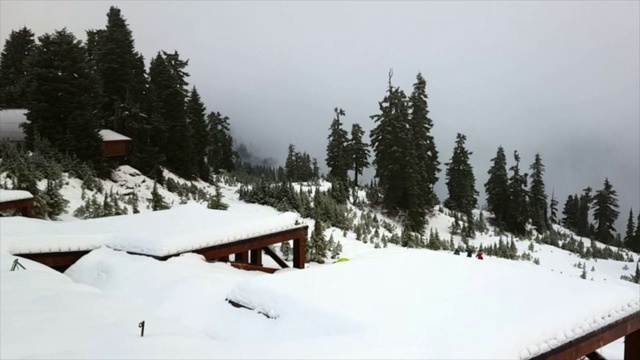 摇摄雪在建筑物上的树对天空-精灵湖，不列颠哥伦比亚省视频素材