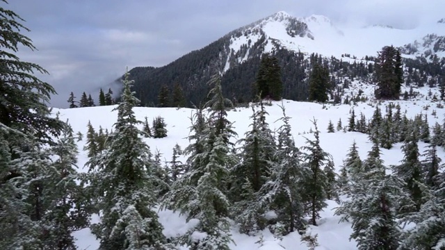 在云雾天空的山脉上的雪上的树的平移镜头-精灵湖，不列颠哥伦比亚省视频素材