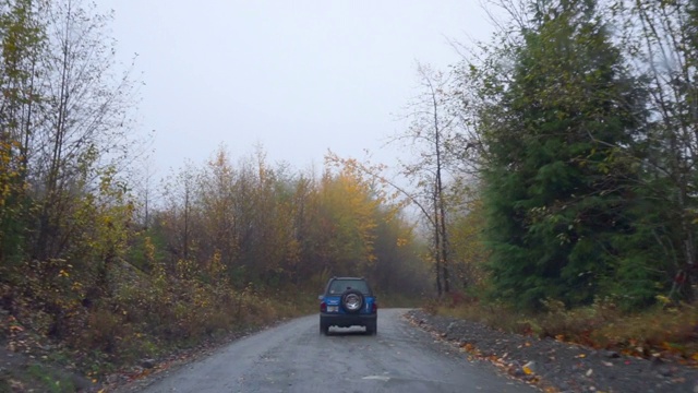 POV拍摄的车辆在道路上的树木在森林在雾天气精灵湖，不列颠哥伦比亚省视频素材