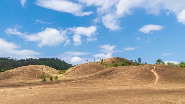 金草或秃山山，风景公园拉廊，泰国-时光流逝视频素材