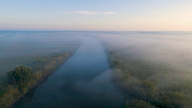 飞过浓雾中的沼泽视频素材