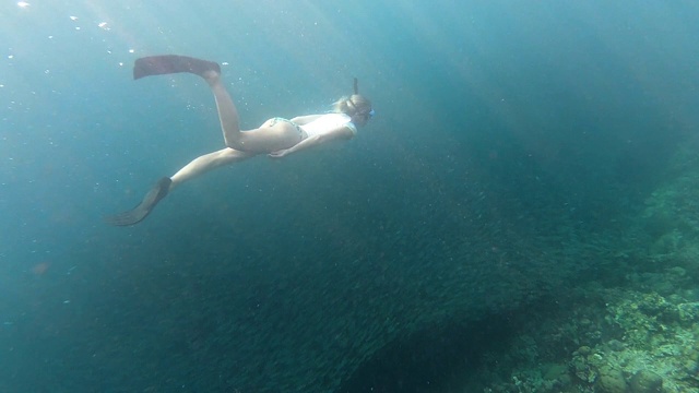 在海洋里潜水的女人视频素材