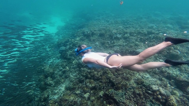 在海洋里潜水的女人视频素材