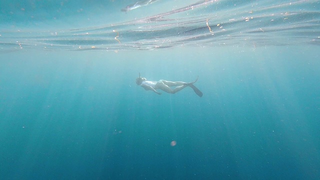 年轻女子在海洋水下潜泳视频素材