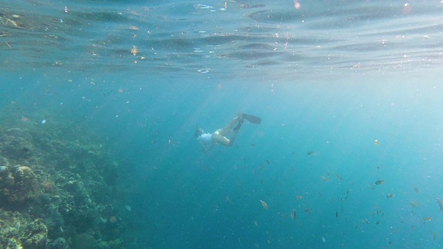 在海洋里潜水的女人视频素材