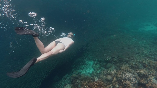 在海洋里潜水的女人视频素材